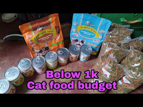 MY BELOW 1K BUDGET FOR CAT FOOD | UNBOXING CAT FOOD | CAT FOOD IDEA