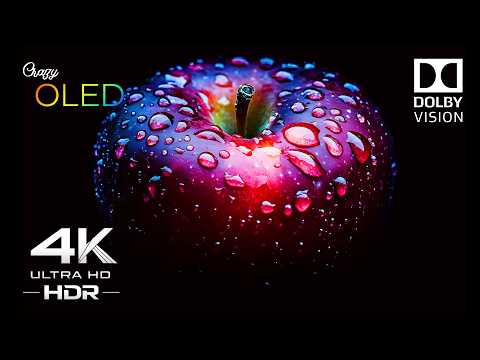CRAZY 4K OLED Perfection | Dolby Vision 4K HDR 120 FPS (TV Test)