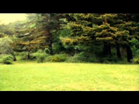 Especial: Nuevo video Vetusta Morla - "Lo que te hace grande"