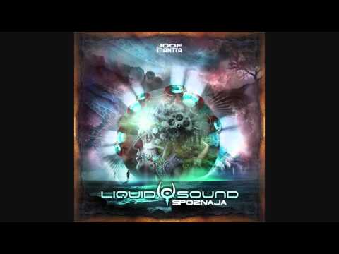 Liquid Sound - Spoznaja