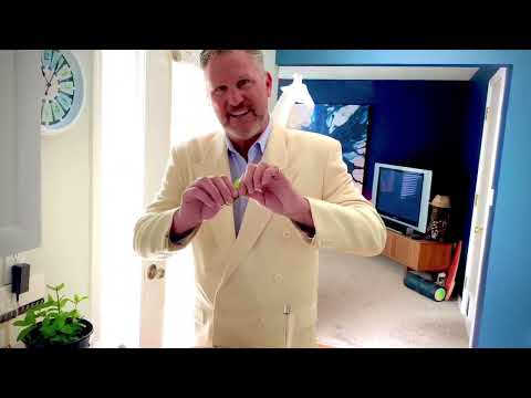 The Classic Mint Julep