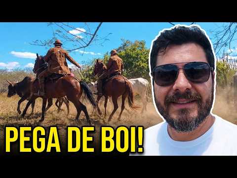 COMO É UMA PEGA DE BOI NO INTERIOR DO RN? FUI CONFERIR DE PERTO
