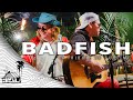 Badfish - Get Ready / Badfish (Live Music) | Sugarshack Sessions