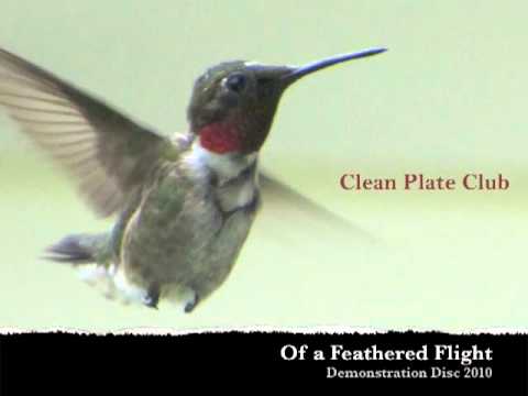 Clean Plate Club- Of a Feathered Flight