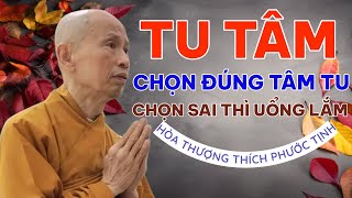 TO CULTIVATE THE MIND, CHOOSE THE RIGHT MIND TO CULTIVATE | VENERABLE THICH PHUOC TINH