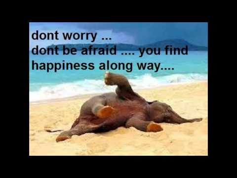 happy birthday Jamil