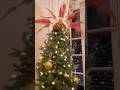 There’s No Better Time than now to be dressing the tree!
