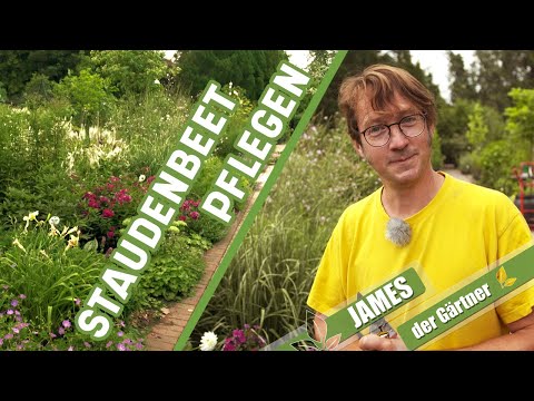 Wie pflegt man Staudenbeete richtig? | James der Gärtner