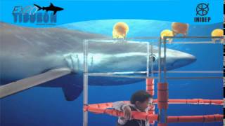 DIA 2 Expo Tiburon220