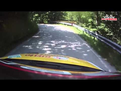 Rally degli Abeti 2015  Tognozzi - Pinelli  Fiat Punto Super 1600