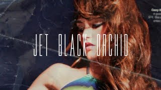 Jet Black Orchid - Do you know mine (Acoustic)