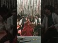 Mailapuru Mayile Mayile MUSIC GALLERY Dhivaya Mathu Whatsappstatus Whatsapp Status