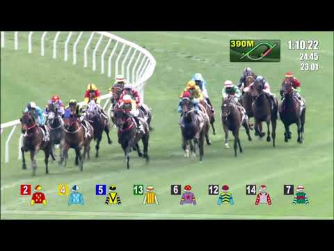 28/2/2021 (465) All For St Paul's - Matthew Poon