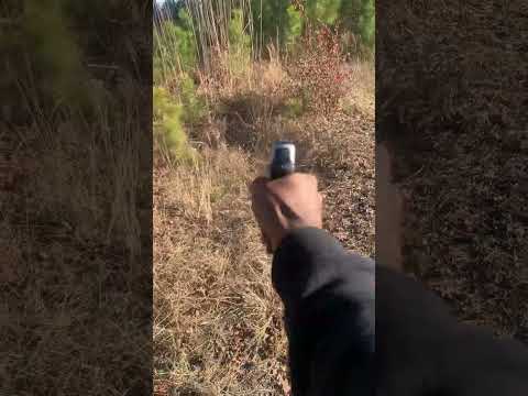 #gun Smith & Wesson SD40VE 40 S&W Police Trade-In Pistol with Two-Tone Finish MAG DUMP #music