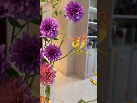 Clear Cylinder Glass Test Tube Flower Vase