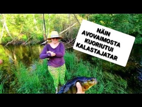 JOKIKALASTUSTA ETELÄ- SAVOSSA - AHVENTA, HAUKEA, SÄYNETTÄ