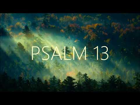 PSALM 13