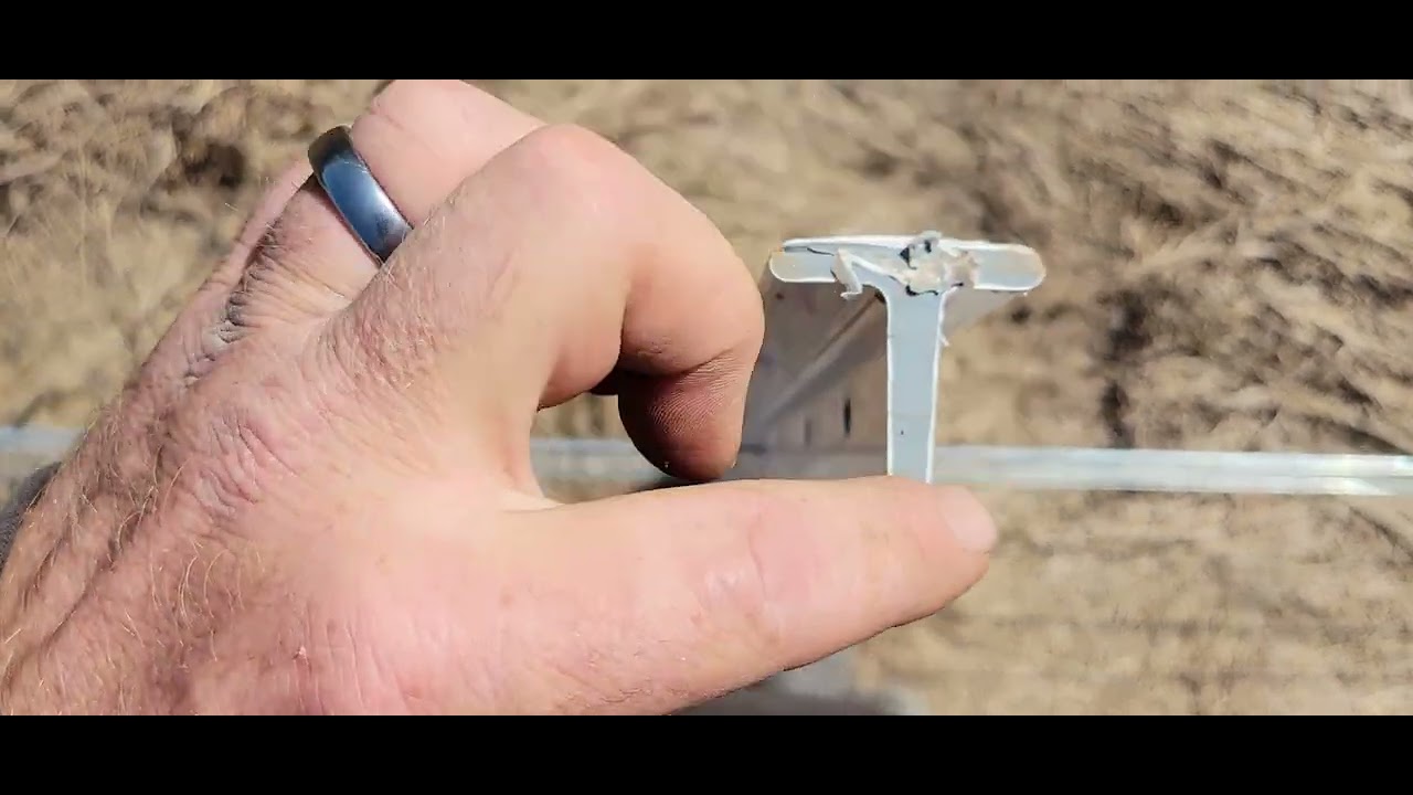 Timeless Fence, day 2