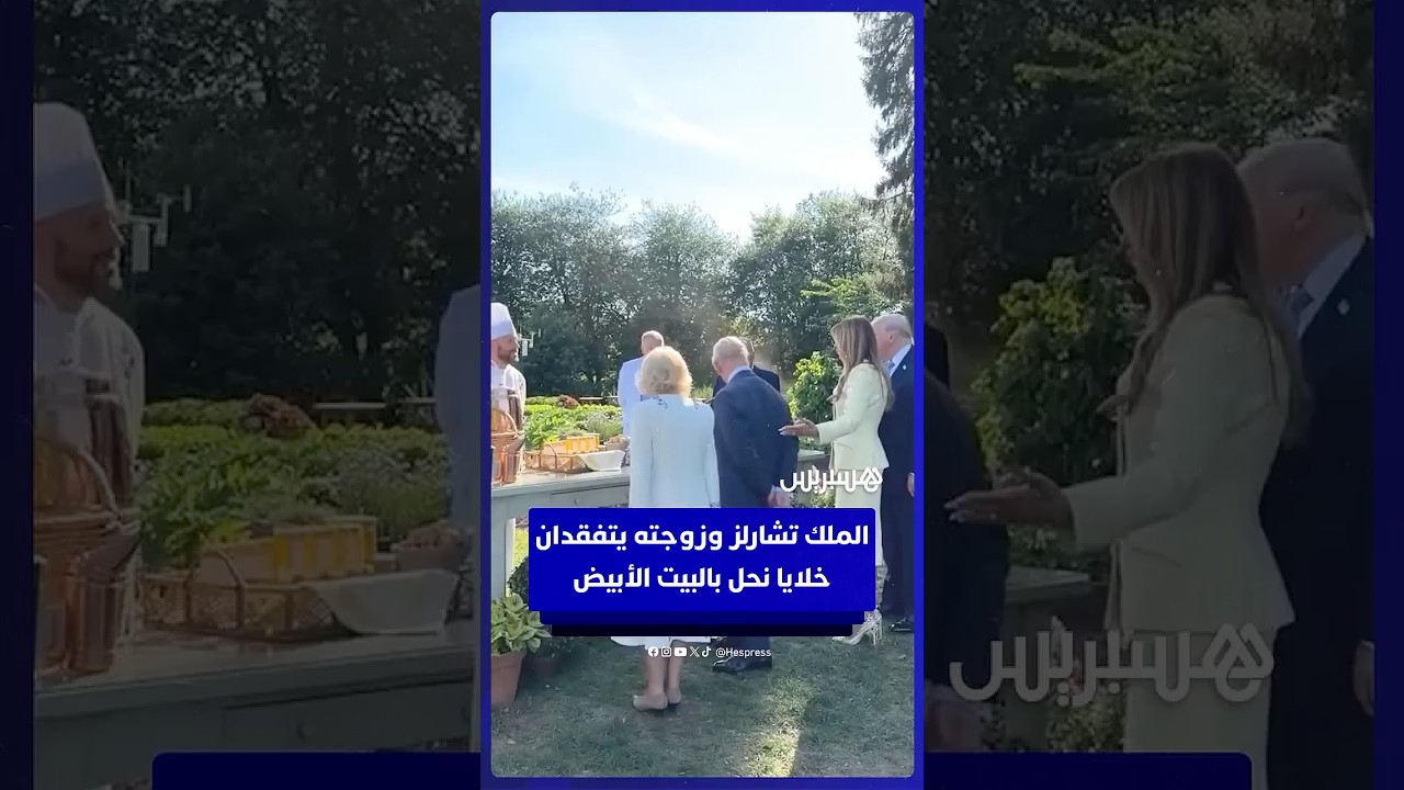 الملك تشارلز وزوجته يتفقدان خلايا النحل في ضيافة ترامب thumbnail