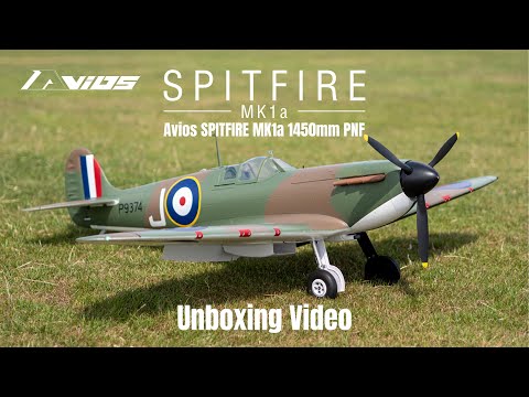 Avios Extra NG 60E Flight Demo