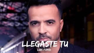 Luis fonsi llegaste tu lyrics