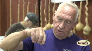 Mississippi Gourd Festival shows off gourd artists