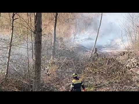 Vigili del Fuoco spengono rogo all'oasi di Lentate - Parco Groane
