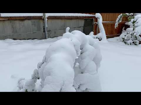 Great snow fall September Casper Wyoming