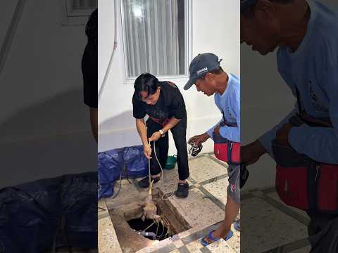 Bangkai ayam di dalem sumur mas preman #shorts #minivlog #comedy #sidoii