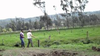 preview picture of video 'colecta de semen bovino'
