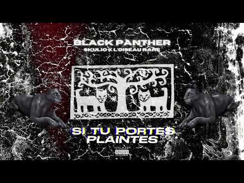 Skulio x L'Oiseau Rare - BLACK PANTHER (LYRICS VIDEO)