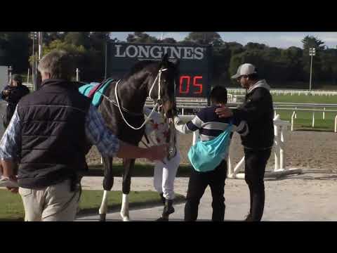 220731 c05 Z Michelini/ MAPA MUNDI (BRZ)