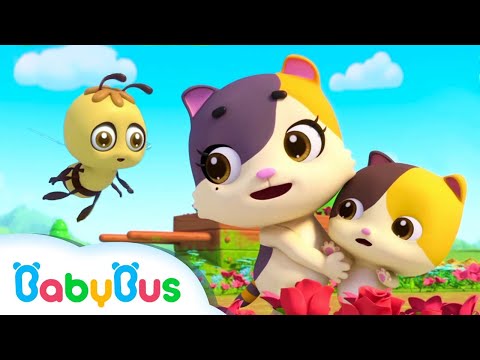 Atenție la ALBINUȚE - Bâz Bâz 🐝 Cântece Educative pentru Copii de Grădiniță - BabyBus