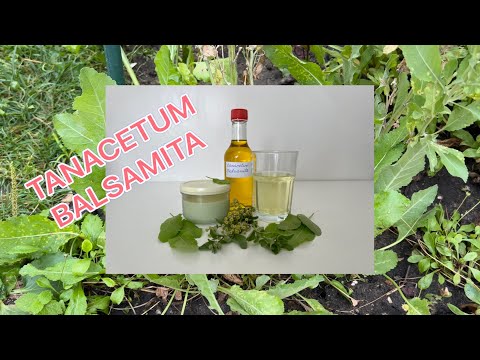 Kaloper : Recepti ( drugi deo )