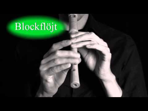 Blockflöjt