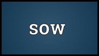 Sow Meaning