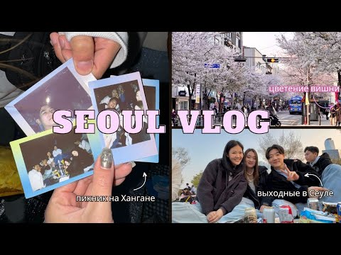 [VLOG] Какого это жить в Сеуле? 🇰🇷 Цветение вишни, пикник на реке Хан