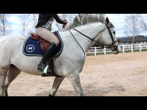 At Home With Malin Baryard