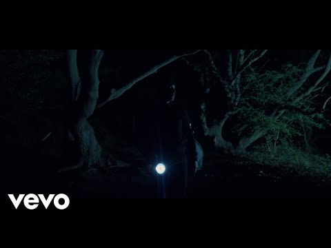 In The Garden - In Search Of Sun