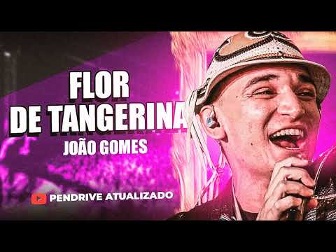FLOR DE TANGERINA - JOÃO GOMES