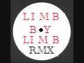 TERRORIST - LIMB BY LIMB - DUB 