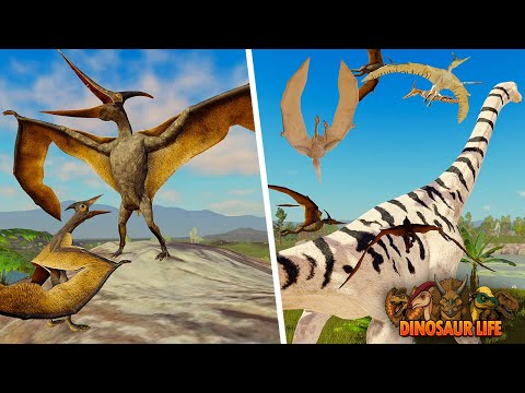 NEUES Pteranodon-Dinosaurier-Update! | ROBLOX Dinosaur Life