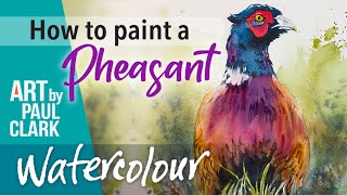 Easy! - How to Paint a Pheasant in Watercolour