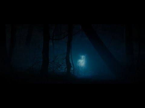 Lily's Theme - Alexandre Desplat [Slowed and reverb]