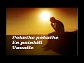 Poguthe Poguthe En Painkili Vaanile SPB Sad Song