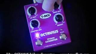 Video thumbnail for T-Rex Effects: OCTAVIUS Tri-Tone Generator (Telecaster to clean channel) by Brett Kingman
