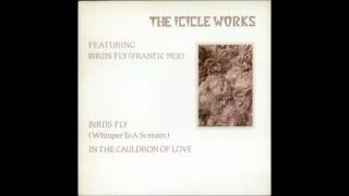 Birds Fly (Whisper To A Scream) by Icicle Works