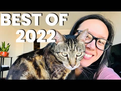 The ULTIMATE guide to your cat's happiness and enrichment