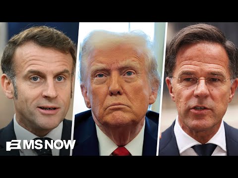 'I do not understand what you are doing in Greenland': Trump shares texts from Macron, Rutte