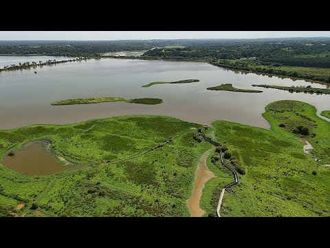 Video Thumbnail: Warum ließ Napoleon das Marais d'Orx trockenlegen?